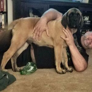 Meet your Posher, Jason